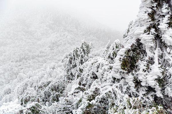 La carte nationale d'appréciation de la neige du terme solaire de Xiaoxue est publiée pour vous aider à débloquer des sites pittoresques limités