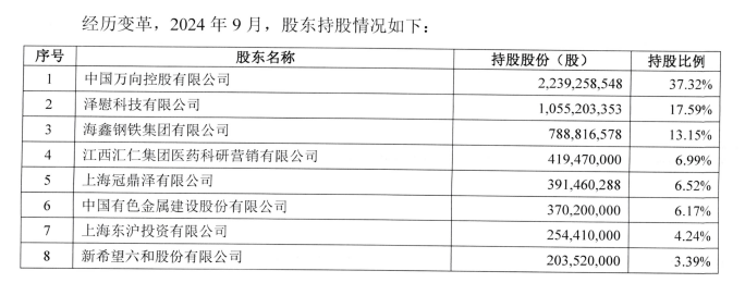 民生人寿相关股东持股情况 图片来源：新希望公告