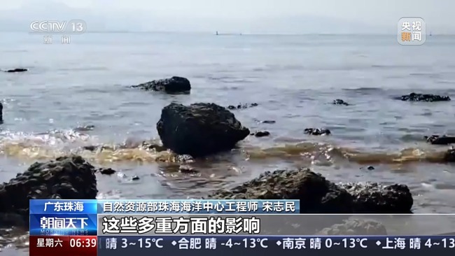 Experten über abnormale Wasserfarbe an vielen Orten nahe der Küste von Zhuhai: Es gibt viele Ursachen