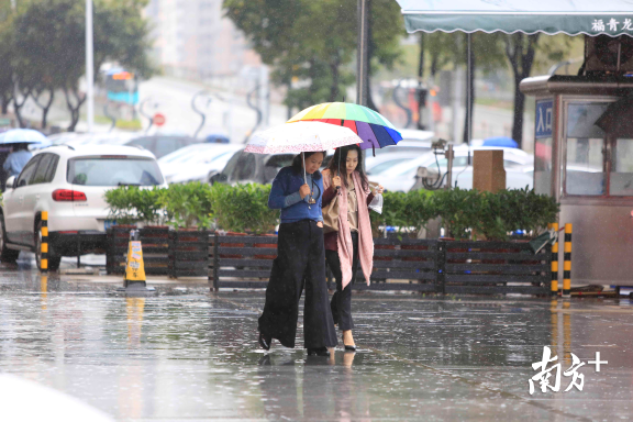 市民在雨中行走。南方+记者鲁力摄