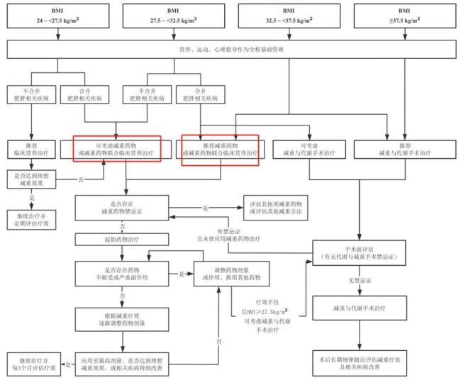 肥胖症诊疗指南（2024年版）：超重和肥胖症诊疗路径