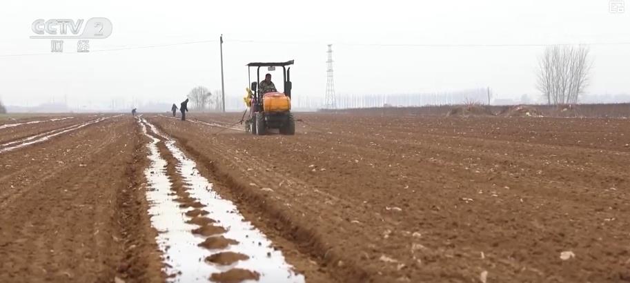  سيتم زرعها ، وسيتم زراعة الاغتصاب مباشرة بعد الحصاد. يستخدم نموذج الزراعة هذا الاستخدام الكامل لموارد الأراضي والظروف الخفيفة والحرارية ، مما يؤدي إلى تحسين استخدام الأراضي وكفاءة الإخراج بشكل كبير. في الوقت نفسه ، خلال فترة الشتاء ، ستنفذ المنطقة المحلية عمليات زراعة عميقة لضمان استعادة التربة إلى الخصوبة. من خلال نموذج الزراعة هذا العام ، تضم مقاطعة تشنغان 30000 مو من الأراضي الزراعية عالية المستوى ، مع زيادة تقدر بنحو 1000 يوان لكل مو من الأراضي ، مما يجلب فوائد ملموسة للمزارعين. </p> <!-repaste.body.end->               </div>
              
          </div>
          
          <!--<div class=