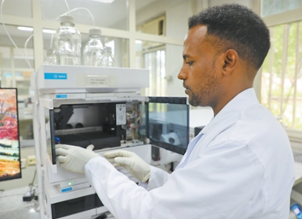 中国助力埃塞俄比亚畜牧业价值链能力建设 